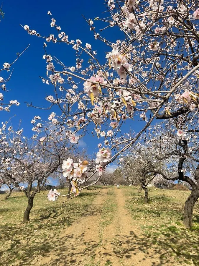 Casa Amigos Sorvilan - La Almendra
