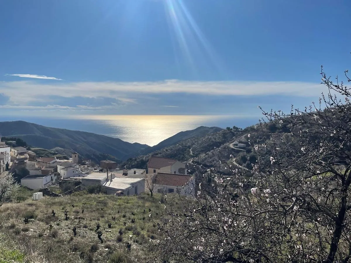 Casa Amigos Sorvilan - La Almendra